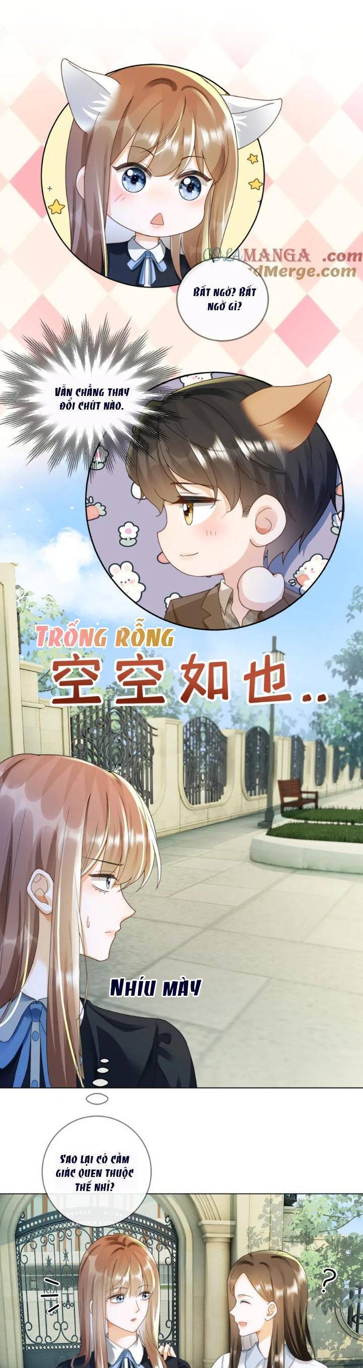 Tổng Tài Tỷ Phú Chỉ Sủng Cô Vợ Thế Thân: Chapter 74