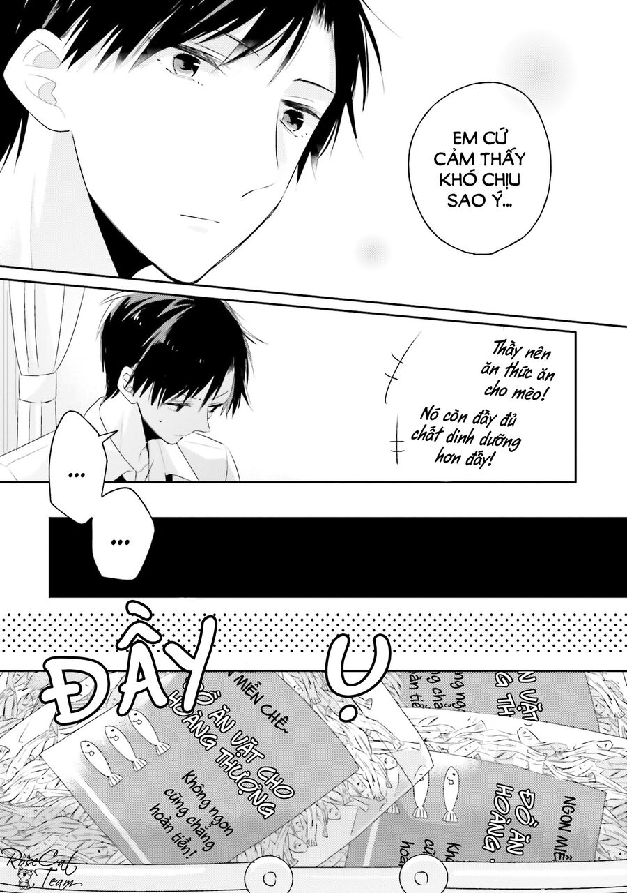 Trò Đùa Của Số Phận: Chapter 3.5