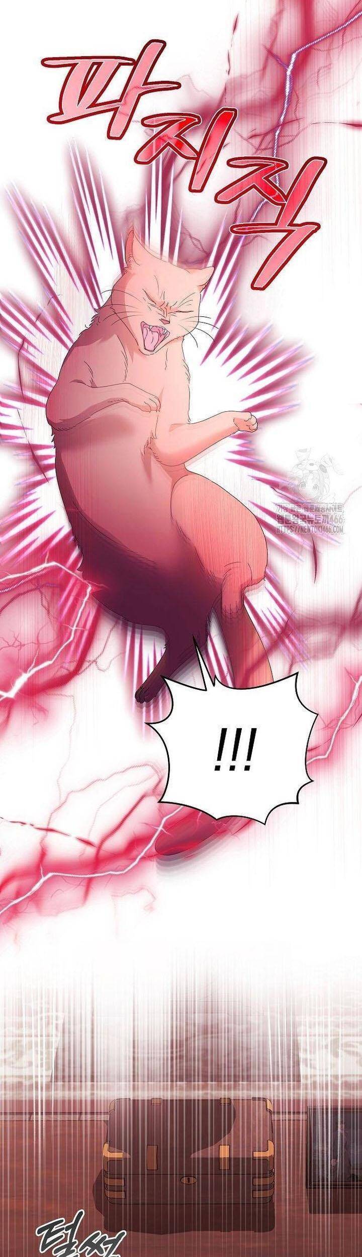 Trở Thành Con Gái Nuôi Của Gia Tộc Sát Thủ: Chapter 59
