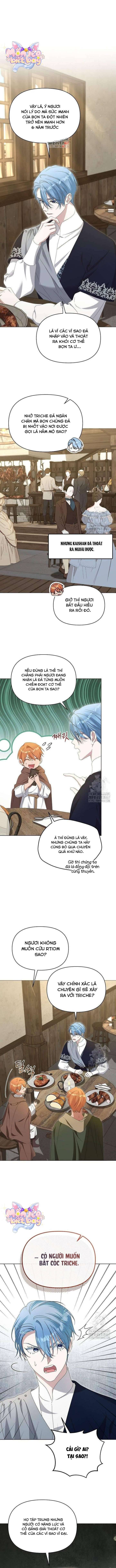 Trở Thành Con Gái Nuôi Của Gia Tộc Sát Thủ: Chapter 60