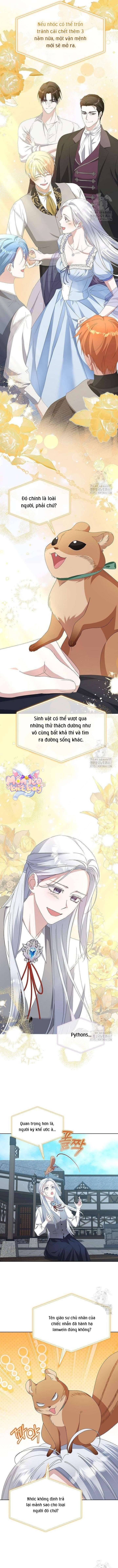 Trở Thành Con Gái Nuôi Của Gia Tộc Sát Thủ: Chapter 60