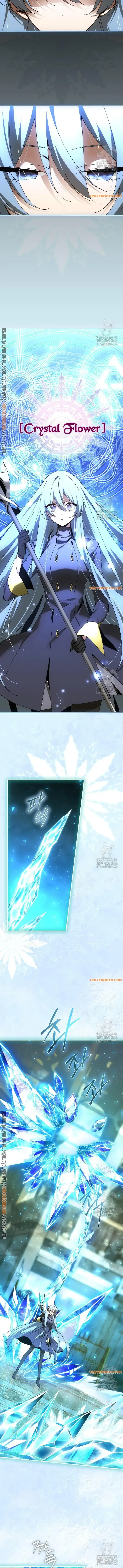 Trở Thành Thiên Tài Tốc Biến Của Học Viện Ma Pháp: Chapter 45