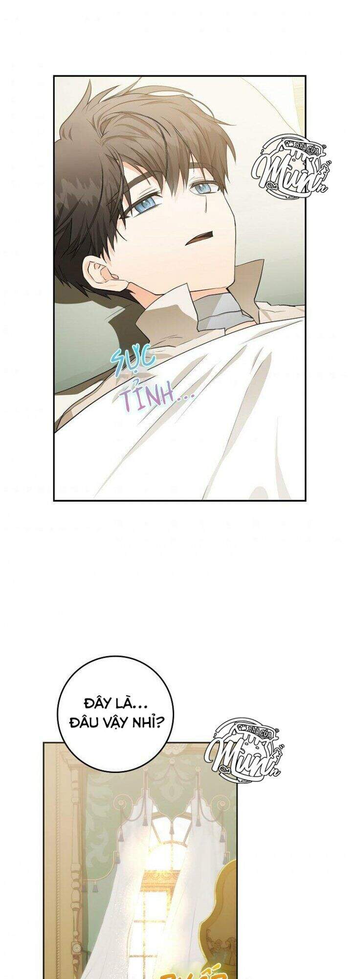 Trở Thành Vợ Của Nam Chính Tiểu Thuyết: Chapter 8