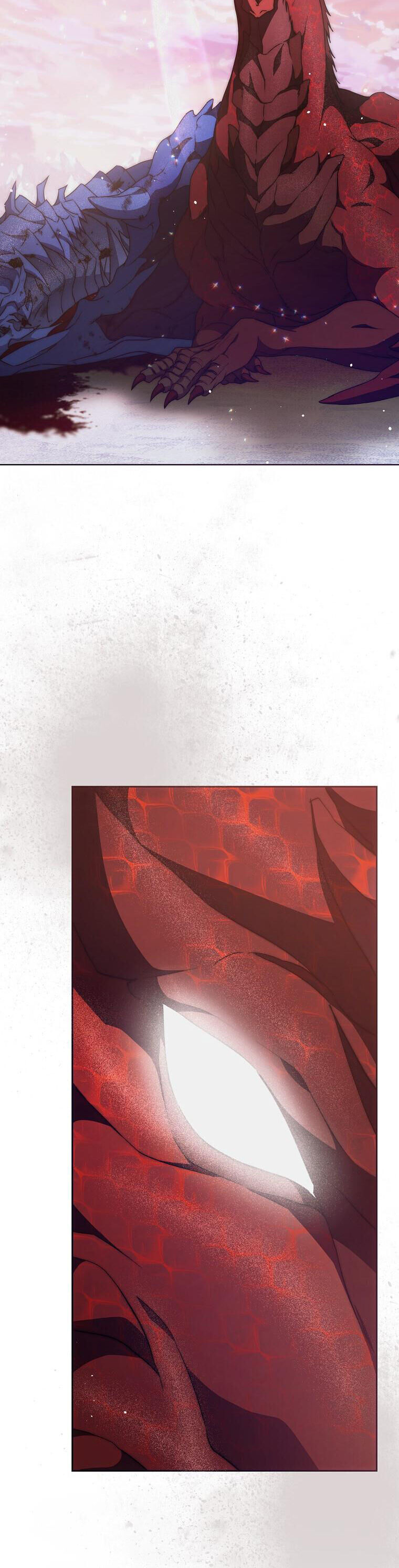 Trở Thành Vợ Của Nam Chính Tiểu Thuyết: Chapter 81