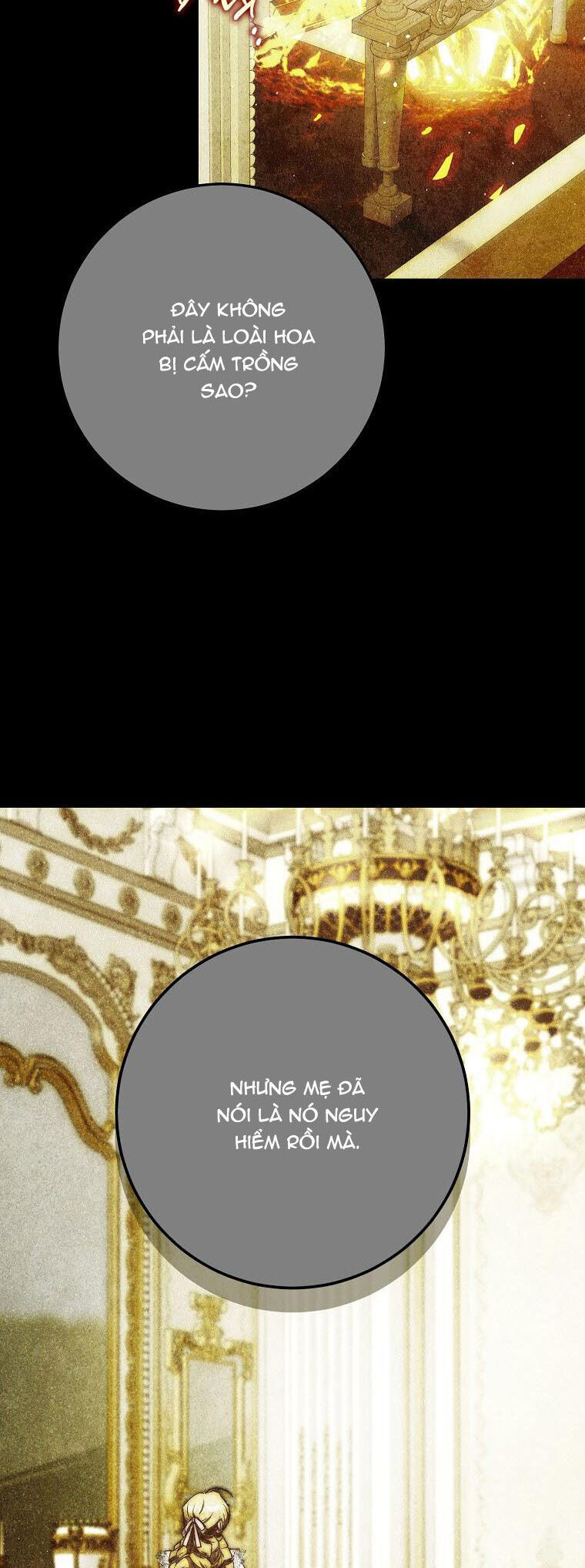 Trở Thành Vợ Của Nam Chính Tiểu Thuyết: Chapter 94