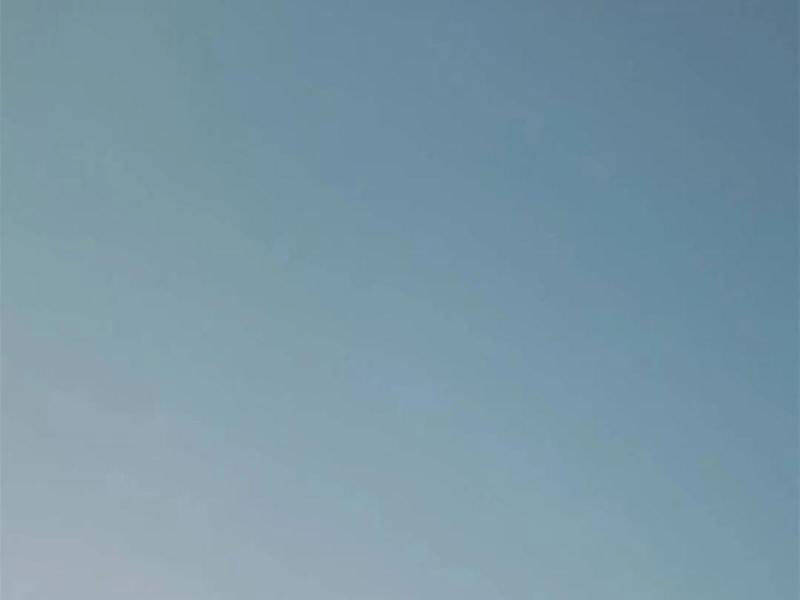 Trọng Sinh Không Làm Chạn Vương, Tôi Một Mình Nạp Game Thăng Cấp: Chapter 160