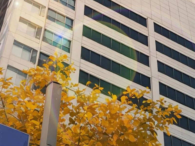 Trọng Sinh Không Làm Chạn Vương, Tôi Một Mình Nạp Game Thăng Cấp: Chapter 160