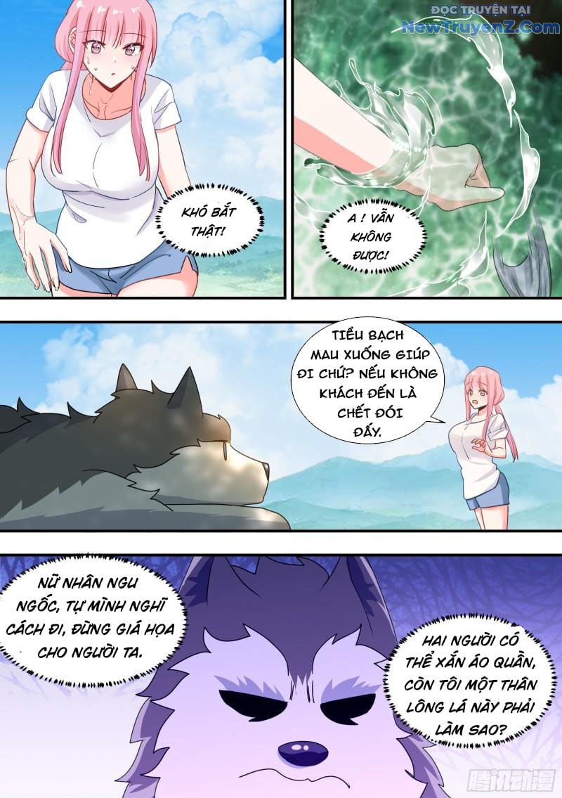 Trọng Sinh Thành Chó Của Nữ Thần: Chapter 100