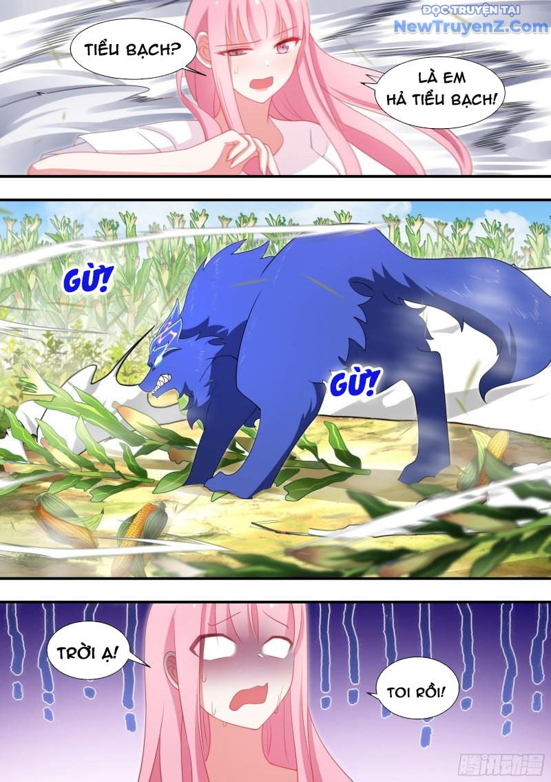 Trọng Sinh Thành Chó Của Nữ Thần: Chapter 102