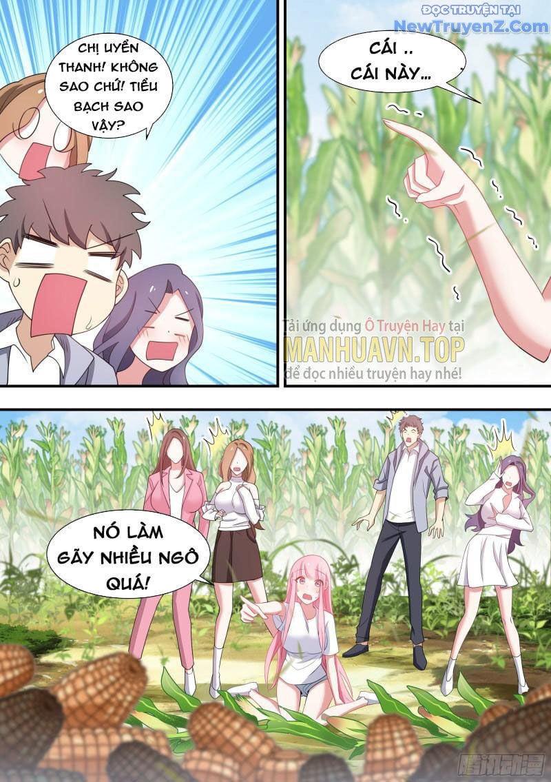 Trọng Sinh Thành Chó Của Nữ Thần: Chapter 102