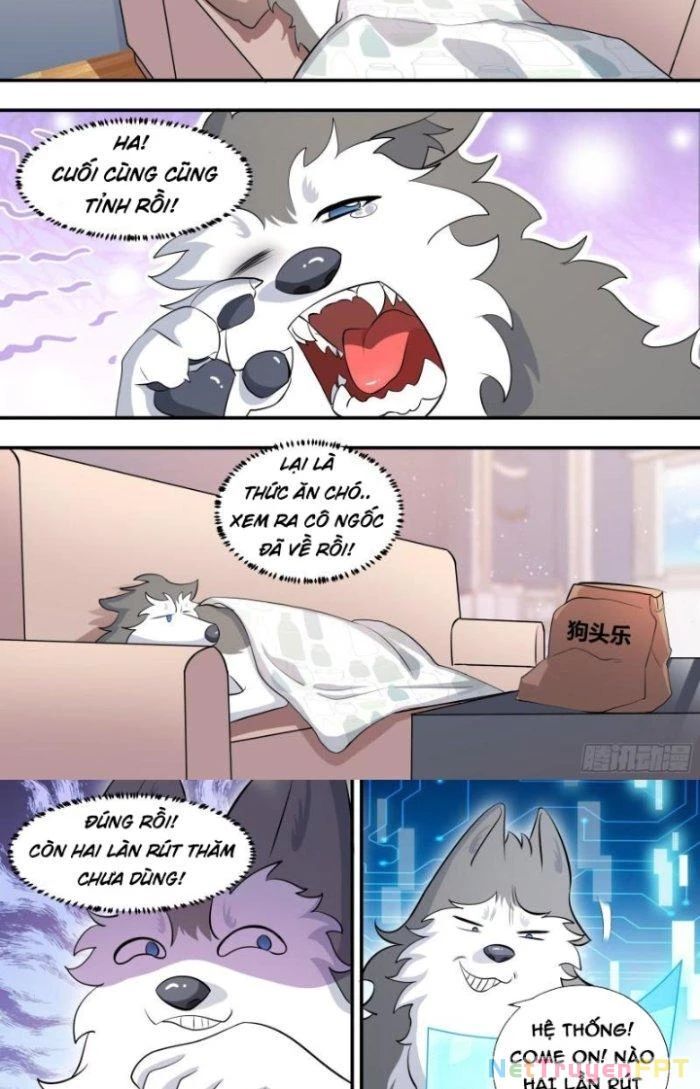 Trọng Sinh Thành Chó Của Nữ Thần: Chapter 118