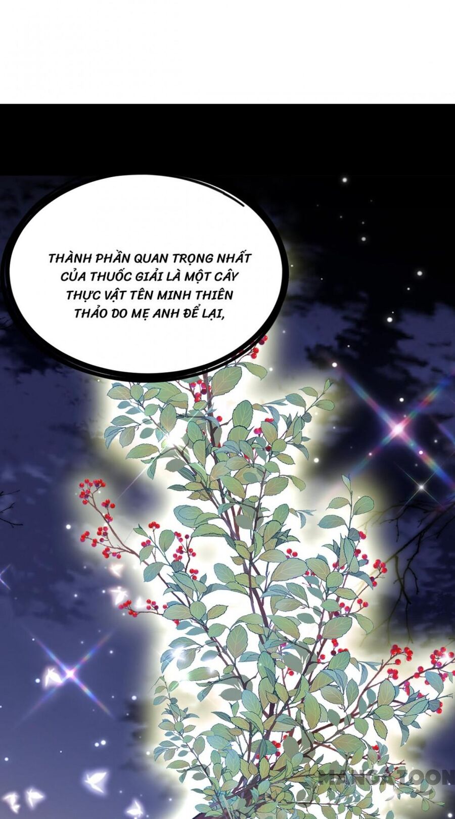 Trùng Sinh Không Gian: Cô Vợ Hào Môn Nóng Bỏng Không Dễ Chọc: Chapter 374