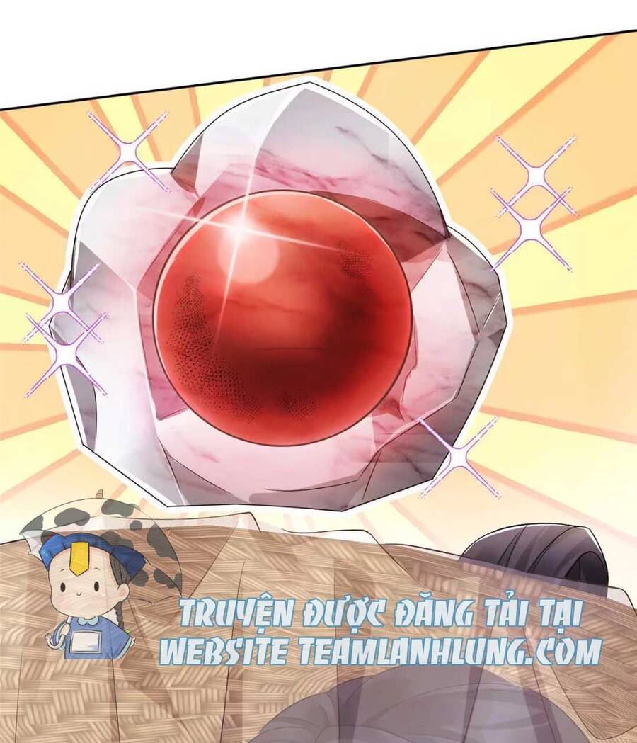 Trùng Sinh Sống Lại ! Các Hoàng Tử Ai Cũng Muốn Cưới Ta !: Chapter 12