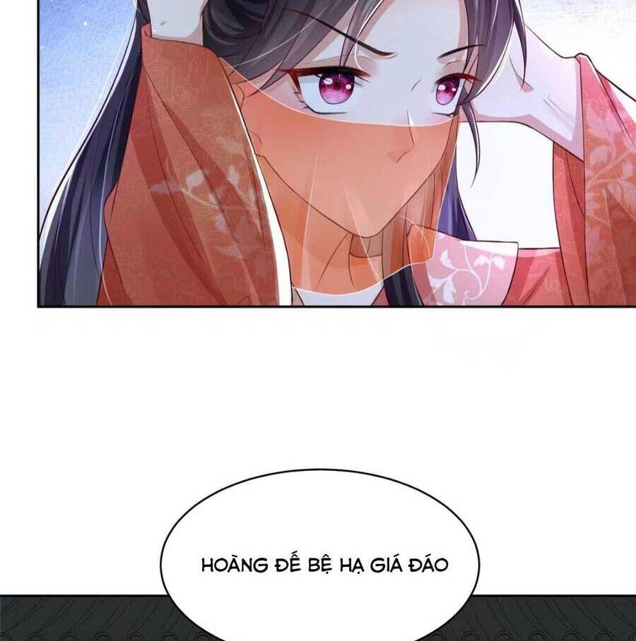 Trùng Sinh Sống Lại ! Các Hoàng Tử Ai Cũng Muốn Cưới Ta !: Chapter 16