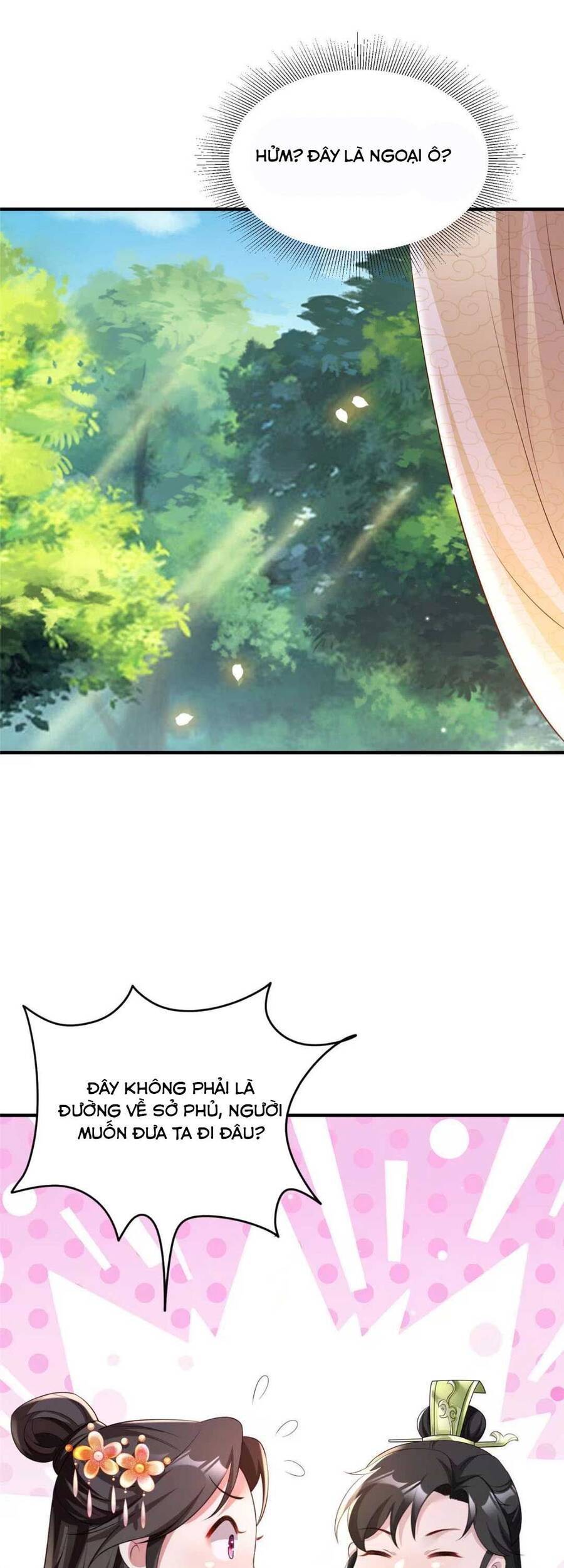 Trùng Sinh Sống Lại ! Các Hoàng Tử Ai Cũng Muốn Cưới Ta !: Chapter 28