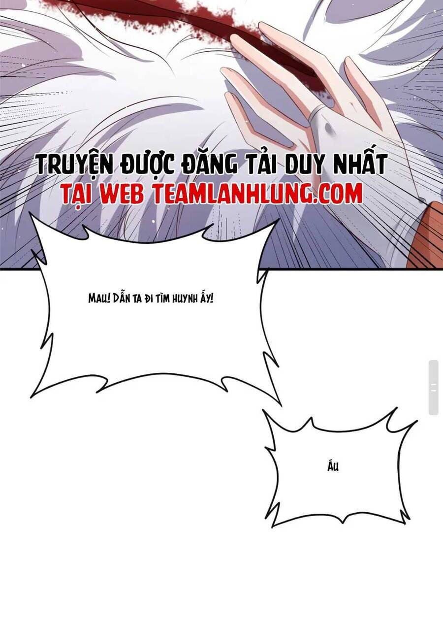 Trùng Sinh Sống Lại ! Các Hoàng Tử Ai Cũng Muốn Cưới Ta !: Chapter 48