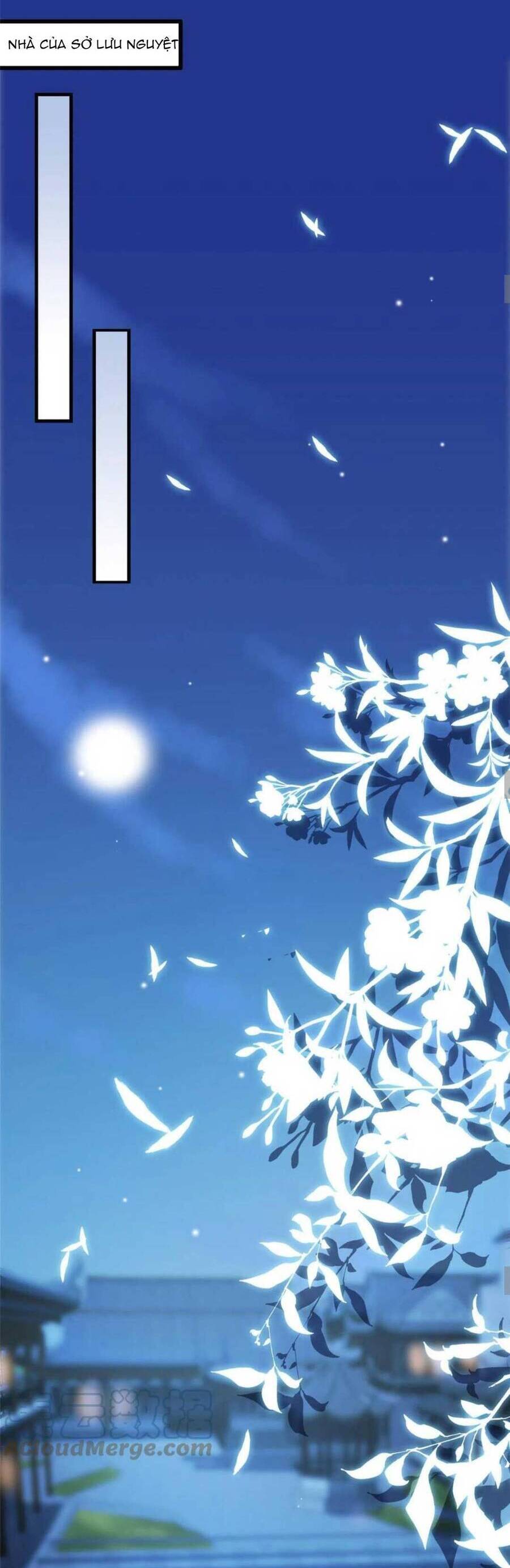 Trùng Sinh Sống Lại ! Các Hoàng Tử Ai Cũng Muốn Cưới Ta !: Chapter 57