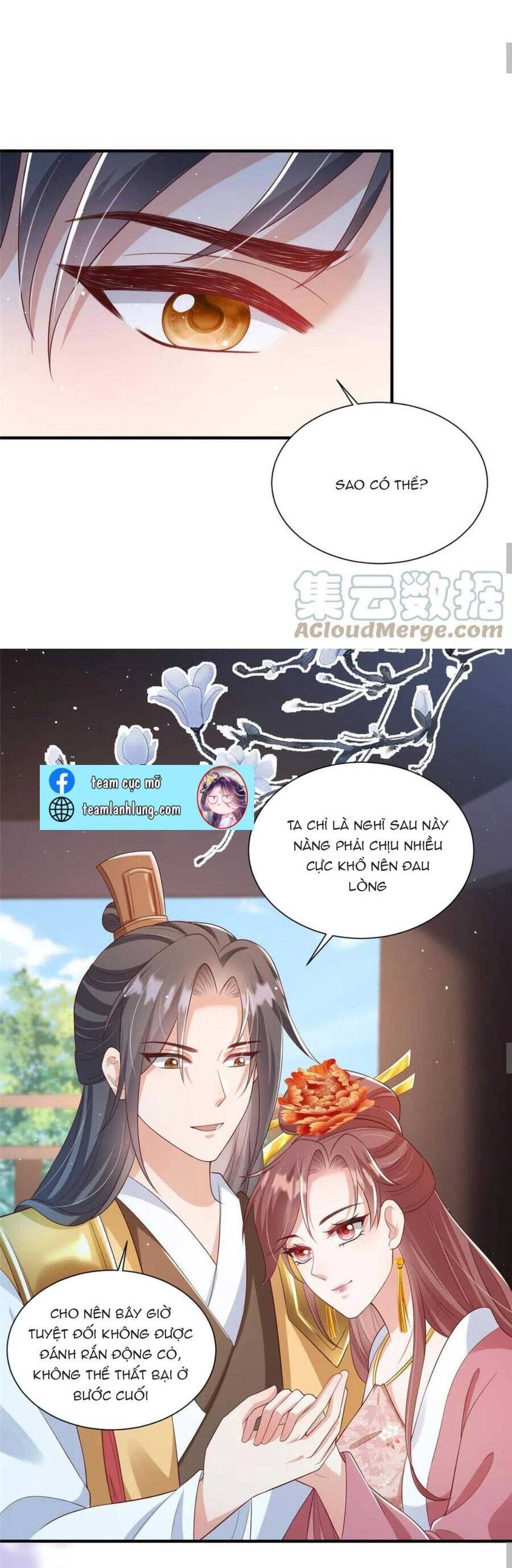 Trùng Sinh Sống Lại ! Các Hoàng Tử Ai Cũng Muốn Cưới Ta !: Chapter 61