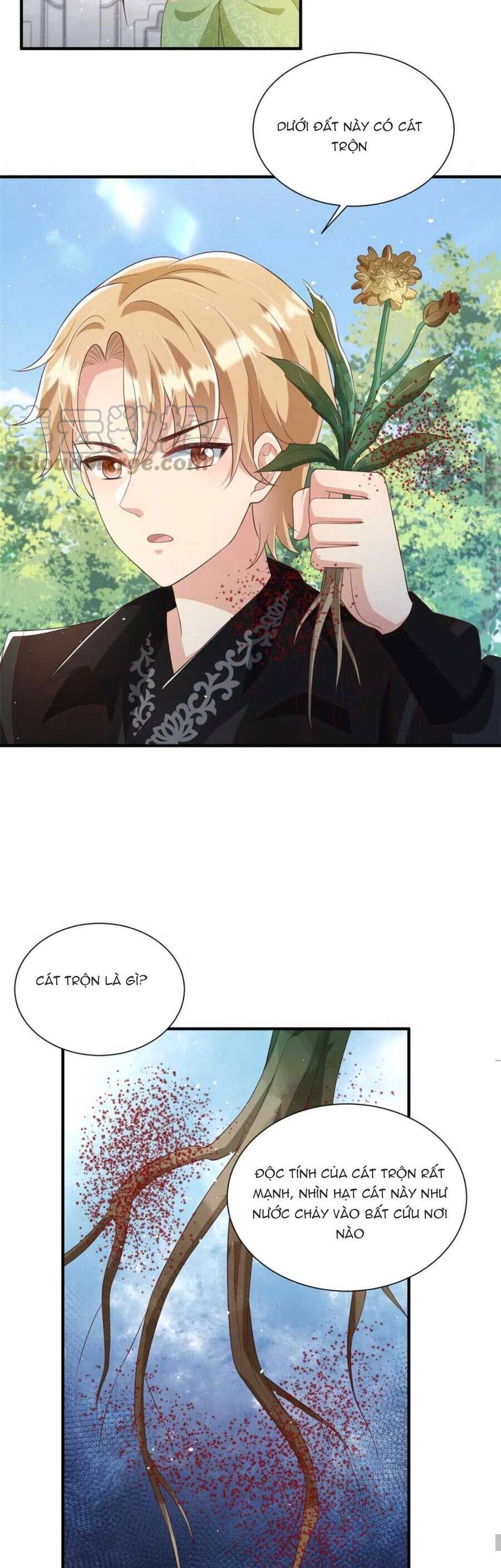 Trùng Sinh Sống Lại ! Các Hoàng Tử Ai Cũng Muốn Cưới Ta !: Chapter 64