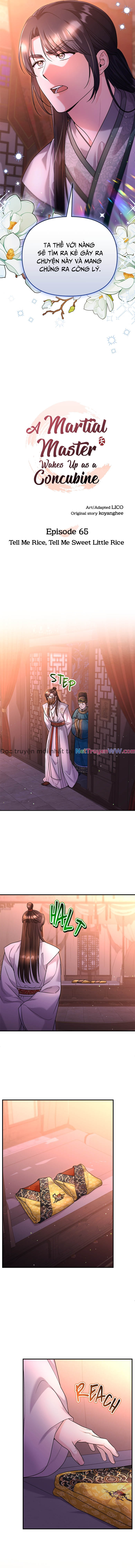 Từ Cao Thủ Trở Thành Phi Tần: Chapter 65