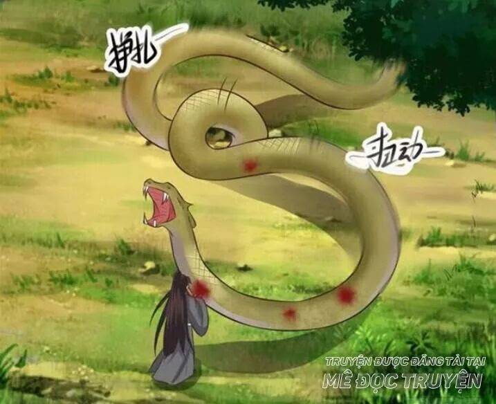 Tuyệt Sắc Quyến Rũ: Quỷ Y Chí Tôn: Chapter 119