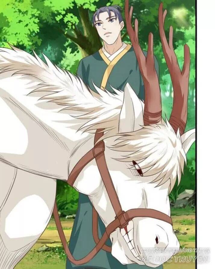 Tuyệt Sắc Quyến Rũ: Quỷ Y Chí Tôn: Chapter 123