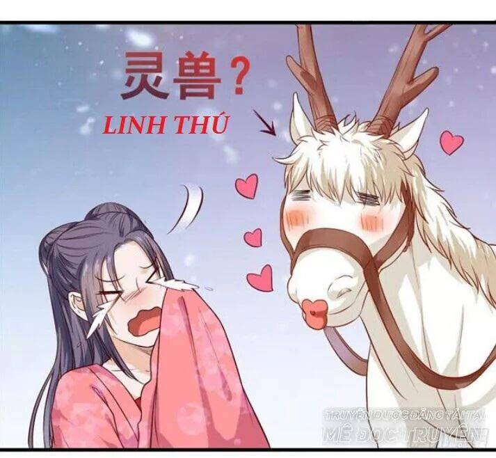 Tuyệt Sắc Quyến Rũ: Quỷ Y Chí Tôn: Chapter 125