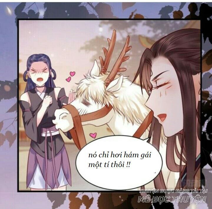 Tuyệt Sắc Quyến Rũ: Quỷ Y Chí Tôn: Chapter 136.1