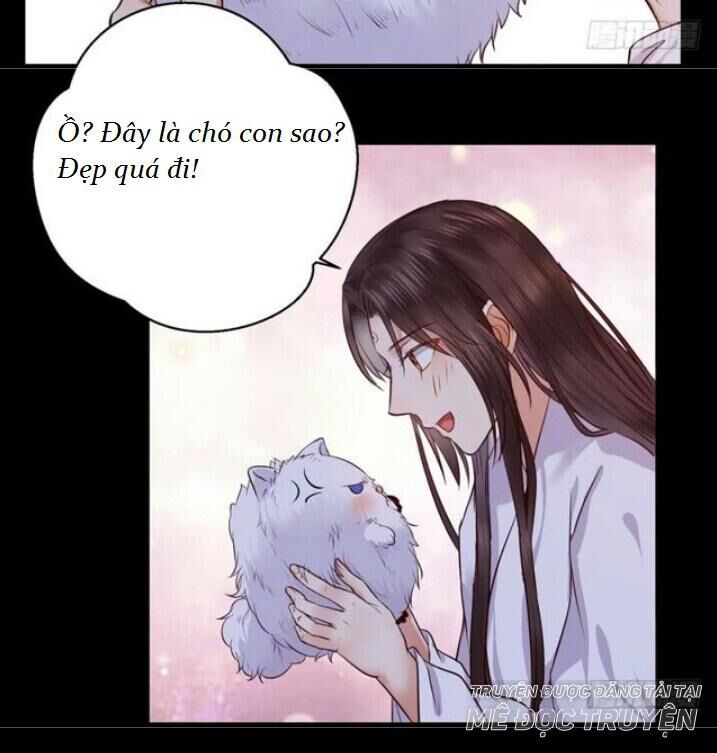 Tuyệt Sắc Quyến Rũ: Quỷ Y Chí Tôn: Chapter 137.1