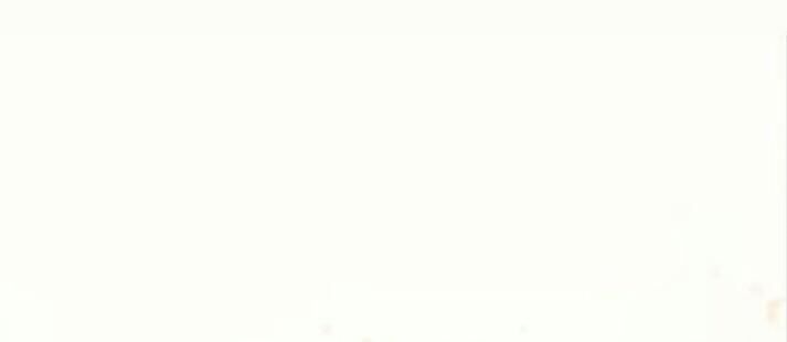 Tuyệt Sắc Quyến Rũ: Quỷ Y Chí Tôn: Chapter 137.1