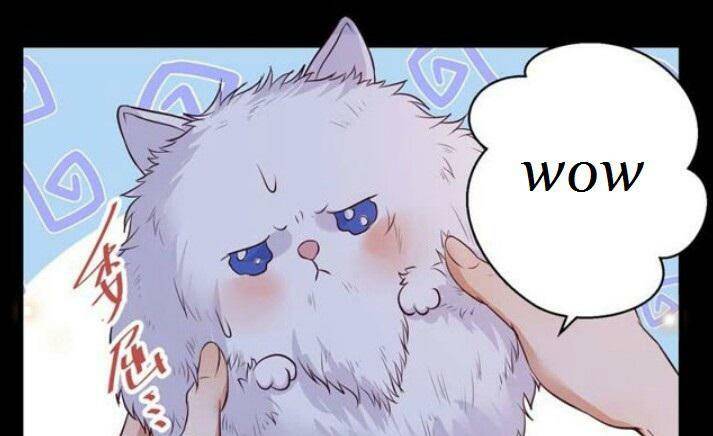 Tuyệt Sắc Quyến Rũ: Quỷ Y Chí Tôn: Chapter 137