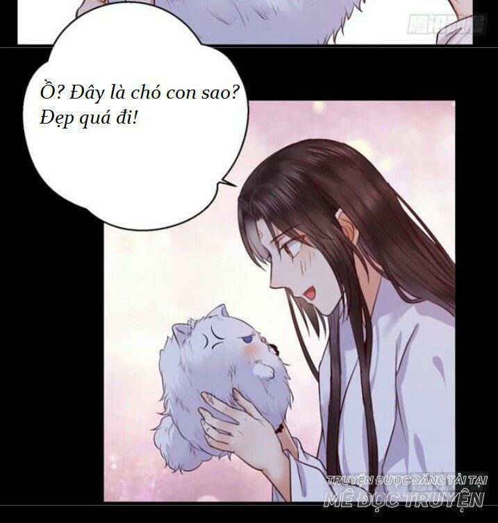 Tuyệt Sắc Quyến Rũ: Quỷ Y Chí Tôn: Chapter 137