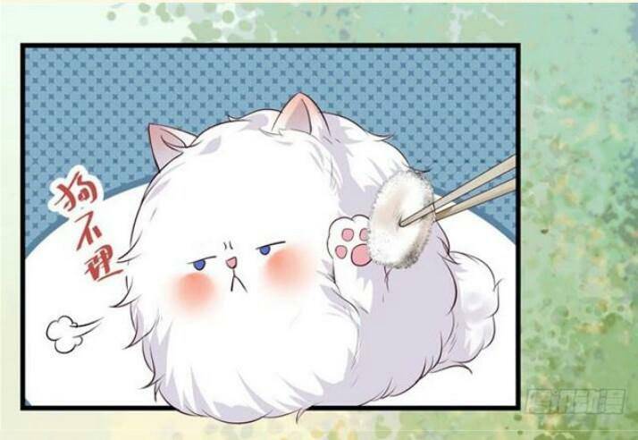 Tuyệt Sắc Quyến Rũ: Quỷ Y Chí Tôn: Chapter 137