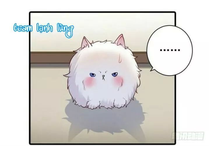 Tuyệt Sắc Quyến Rũ: Quỷ Y Chí Tôn: Chapter 138.2