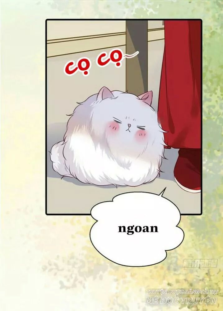 Tuyệt Sắc Quyến Rũ: Quỷ Y Chí Tôn: Chapter 138.2