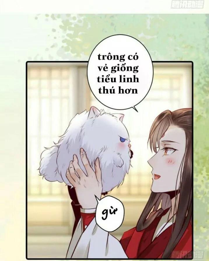 Tuyệt Sắc Quyến Rũ: Quỷ Y Chí Tôn: Chapter 138.2