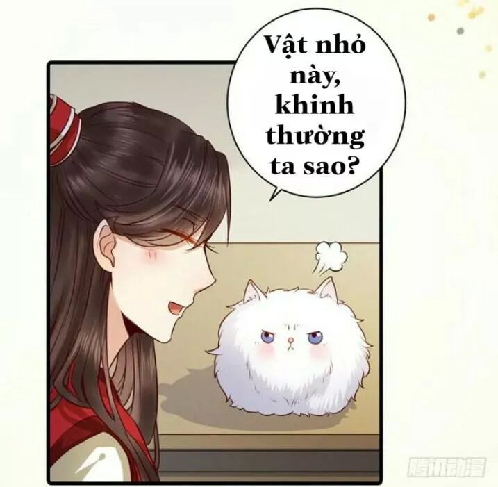 Tuyệt Sắc Quyến Rũ: Quỷ Y Chí Tôn: Chapter 138.3