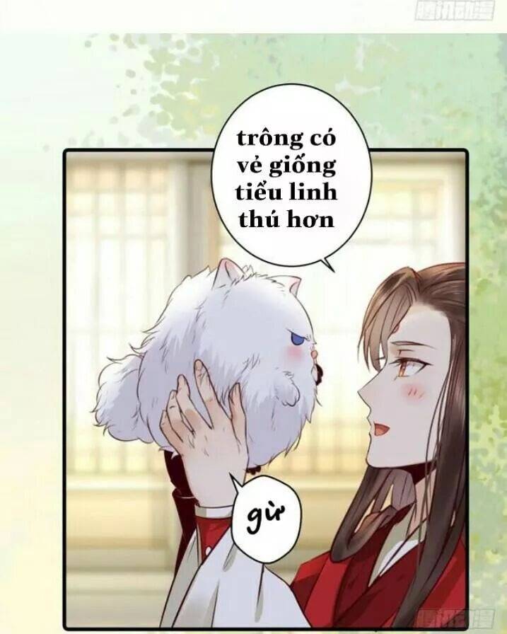 Tuyệt Sắc Quyến Rũ: Quỷ Y Chí Tôn: Chapter 138.5