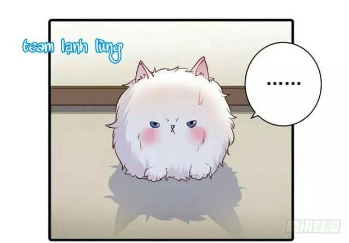 Tuyệt Sắc Quyến Rũ: Quỷ Y Chí Tôn: Chapter 138.5