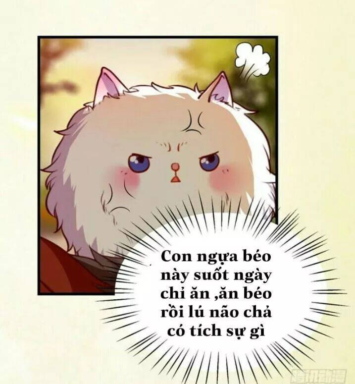 Tuyệt Sắc Quyến Rũ: Quỷ Y Chí Tôn: Chapter 141