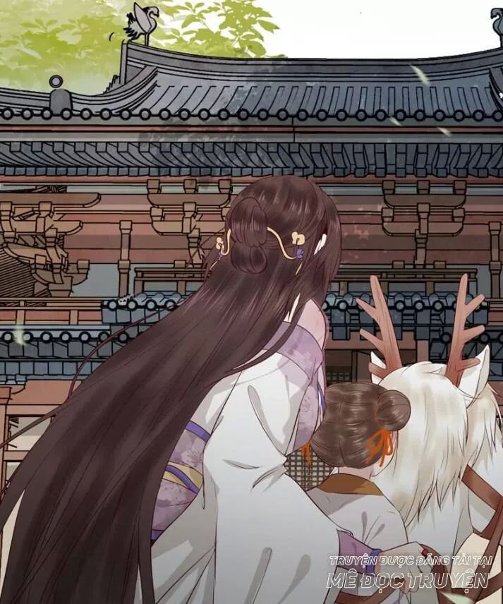 Tuyệt Sắc Quyến Rũ: Quỷ Y Chí Tôn: Chapter 145.2