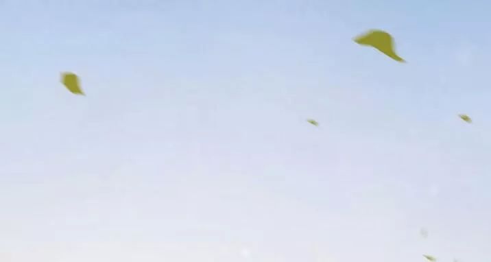 Tuyệt Sắc Quyến Rũ: Quỷ Y Chí Tôn: Chapter 145.3