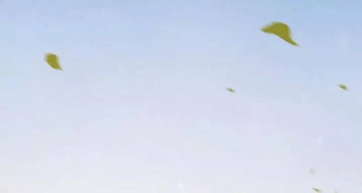 Tuyệt Sắc Quyến Rũ: Quỷ Y Chí Tôn: Chapter 145.5