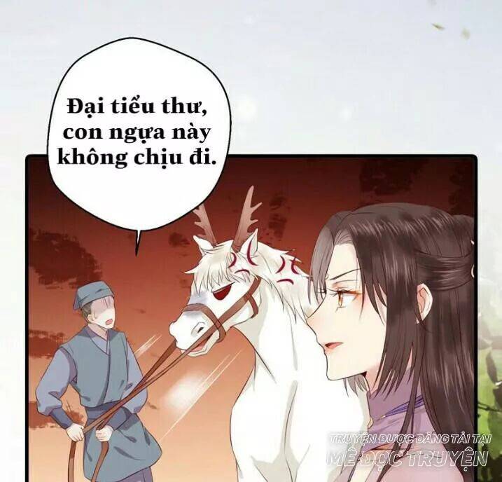 Tuyệt Sắc Quyến Rũ: Quỷ Y Chí Tôn: Chapter 145.5