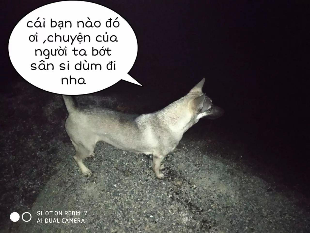 Tuyệt Sắc Quyến Rũ: Quỷ Y Chí Tôn: Chapter 152.1