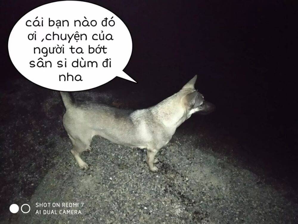 Tuyệt Sắc Quyến Rũ: Quỷ Y Chí Tôn: Chapter 152