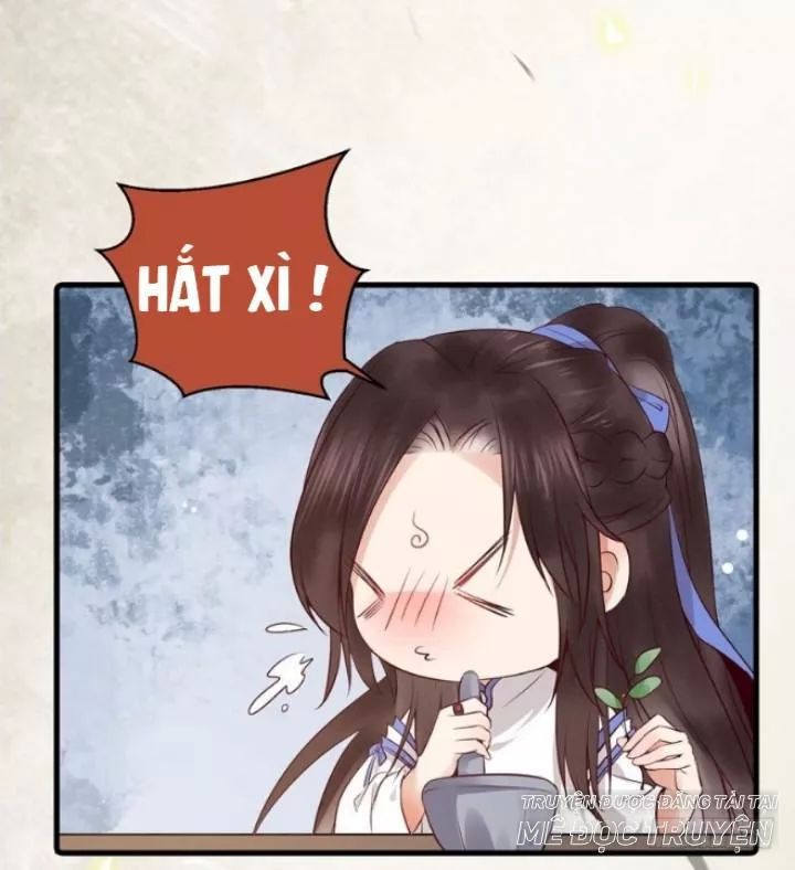 Tuyệt Sắc Quyến Rũ: Quỷ Y Chí Tôn: Chapter 162.1