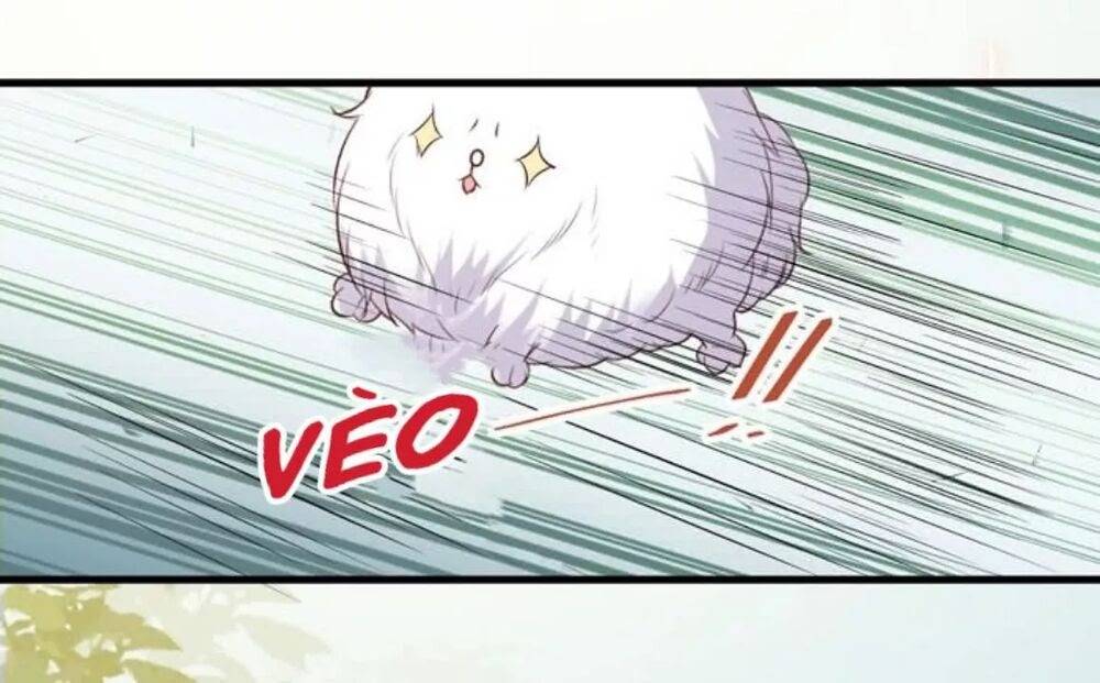 Tuyệt Sắc Quyến Rũ: Quỷ Y Chí Tôn: Chapter 163