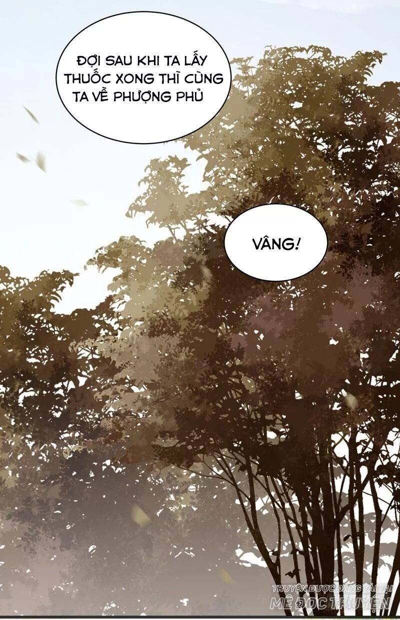 Tuyệt Sắc Quyến Rũ: Quỷ Y Chí Tôn: Chapter 170