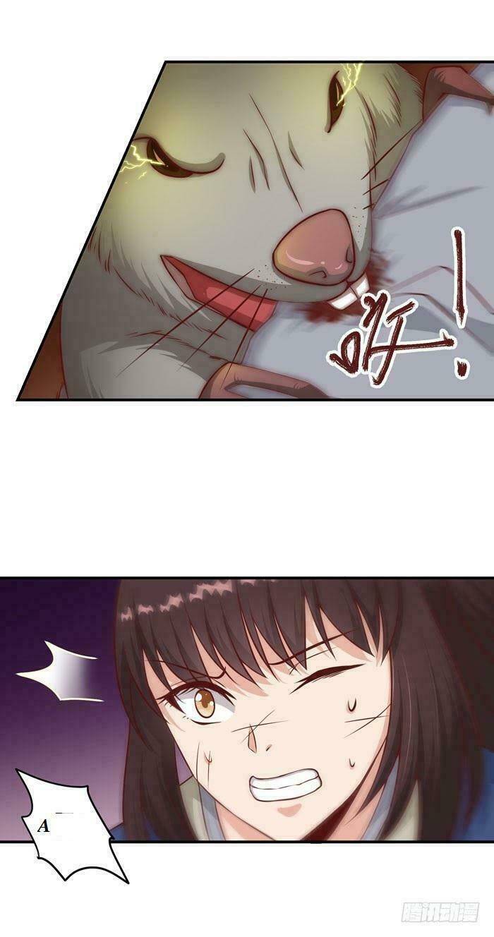 Tuyệt Sắc Quyến Rũ: Quỷ Y Chí Tôn: Chapter 19